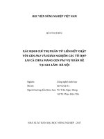 Xác định chỉ thị phân tử liên kết chặt với gen ph3 và khảo nghiệm các tổ hợp lai cà chua mang gen ph3 vụ xuân hè tại gia lâm hà nội luận văn thạc sĩ nông nghiệp 