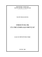 Luận án Tiến sĩ Tâm lý học: Stress ở cha mẹ của trẻ có rối loạn phổ tự kỷ