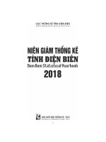 Niên giám thống kê tỉnh điện biên 2019 dien bien statistical yearbook 2019 