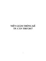 Niên giám thống kê tỉnh cần thơ 2017 can tho statistical yearbook 2017 