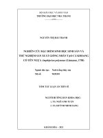 Tóm tắt Luận án Tiến sĩ: Nghiên cứu đặc điểm sinh học sinh sản và thử nghiệm sản xuất giống nhân tạo cá khoang cổ yên ngựa Amphiprion polymnus (Linaeus, 1758)