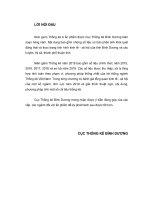 Niên giám thống kê tỉnh bình dương 2019 binh duong statistical yearbook 2019 