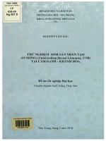 Thử nghiệm sinh sản nhân tạo sò mồng (vasticardium flavum linnaeus, 1758) tại cam ranh   khánh hòa  