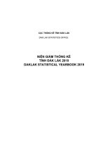 Niên giám thống kê tỉnh đắk lắk 2019 dak lak statistical yearbook 2019 