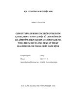 Giám sát sự lưu hành các chủng virus cúm a h5n1 h5n6 h7n9 tại một số chợ buôn bán gia cầm sống trên địa bàn các tỉnh nghệ an thừa thiên huế 