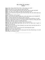 De cuong Sinh 8 K I 12 13