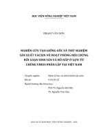 Nghiên cứu tạo giống gốc và thử nghiệm sản xuất vacxin vô hoạt phòng hội chứng rối loạn sinh sản và hô hấp ở lợn từ chủng virus phân lập tại việt nam 
