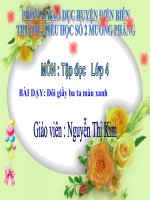 Doi giay ba ta mau xanh