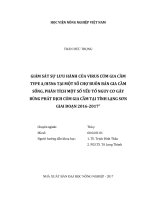 Giám sát sự lưu hành của virus cúm gia cầm type a h5n6 tại một số chợ buôn bán gia cầm sống phân tích một số yếu tố nguy cơ gây bùng phát dịch cúm gia cầm tại tỉnh lạng sơn giai đoạn 2016 2017 