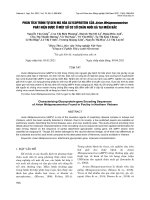 Phân tích trình tự gen mã hóa glycoprotein của Avian Metapneumovirus phát hiện được ở một số cơ sở chăn nuôi gà tại miền Bắc