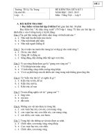 de thi giua ki i lop 5