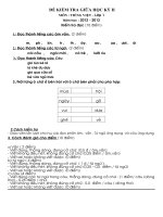 De kiem tra Giua ki I mon Tieng viet nam hoc 2012 2013