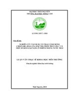 Nghiên cứu tận dụng vỏ trai cánh mỏng cristaria bialata hấp thụ phốt phát PO43  và một số kim loại nặng ô nhiễm trong nước thải 