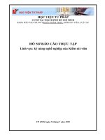Báo cáo thực tập tại Viện Kiểm sát nhân dân