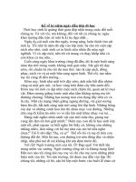 ke ve ngay dau tien di hoc