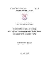 Đánh giá kết quả điều trị của thuốc sorafenib trên bệnh nhân ung thư gan nguyên phát 