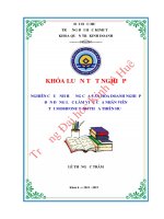 Khóa luận tốt nghiệp Quản trị kinh doanh: Nghiên cứu ảnh hưởng văn hóa doanh nghiệp đến động lực làm việc của nhân viên tại Mobifone tỉnh Thừa Thiên Huế