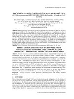 Thử nghiệm sản xuất và bước đầu ứng dụng bột đạm từ trùn quế (Perionyx excavatus) lên đàn heo con lai (Yourshire và Landrace) sau cai sữa