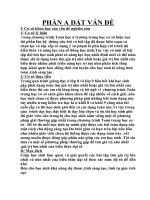 Sang kien dat giai huyen