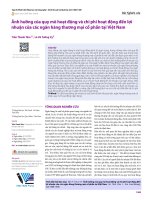 Ảnh hưởng của quy mô hoạt động và chi phí hoạt động đến lợi nhuận của các ngân hàng thương mại cổ phần tại Việt Nam