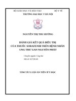 Đánh giá kết quả điều trị của thuốc sorafenib trên bệnh nhân ung thư gan nguyên phát tt 