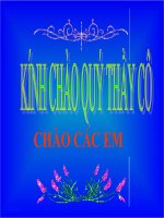 Nguoi trong bao Sekhop