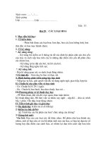 Tiết: 33 CÁC LOẠI HOA