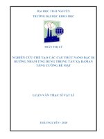 Nghiên cứu chế tạo các cấu trúc nano bạc dị hướng nhằm ứng dụng trong tán xạ raman tăng cường bề mặt 
