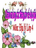 Hoang lien son dia ly 4