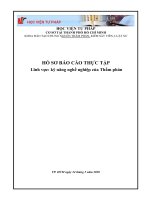 Báo cáo thực tập tại Tòa án nhân dân