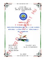 Khóa luận tốt nghiệp Quản trị kinh doanh: Phân tích tình hình tiêu thụ phân bón NPK của Công ty Cổ phần Vật tư Nông nghiệp Thừa Thiên Huế