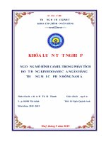 Khóa luận tốt nghiệp Tài chính Ngân hàng: Ứng dụng mô hình CAMEL trong phân tích hoạt động kinh doanh của ngân hàng TMCP Đông Nam Á