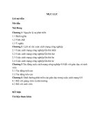 Tiểu luận: vận dụng nguyên lý về sự phát triển trong xu hướng cuộc cách mạng công nghiệp 4.0 hiện nay