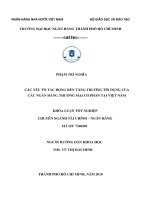 (Luận văn thạc sĩ) các yếu tố tác động đến tăng trưởng tín dụng của các ngân hàng thương mại cổ phần tại việt nam 