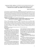 Đánh giá hiệu quả tài chính của doanh nghiệp thông qua phân tích báo cáo tài chính – một nghiên cứu tại Tập đoàn FPT