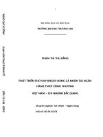 (Luận văn thạc sĩ) phát triển cho vay khách hàng cá nhân tại ngân hàng TMCP công thương việt nam – chi nhánh bắc giang 