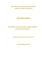 (Luận văn thạc sĩ) THE EFFECTS OF FDI ON THE LABOR MARKET OF ASEAN COUNTRIES 