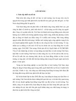(Luận văn thạc sĩ) nâng cao chất lượng của việc cấp tín dụng tại quỹ bảo vệ môi trường việt nam 