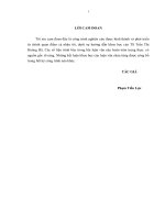 (Luận văn thạc sĩ) nâng cao hiệu quả kinh doanh của công ty cổ phần chứng khoán ngân hàng nông nghiệp và phát triển nông thôn việt nam 