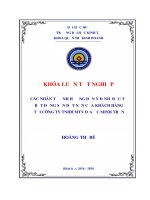 (Luận văn thạc sĩ) các nhân tố ảnh hưởng đến ý định đầu tư bất động sản đất nền của khách hàng tại công ty tnhh mtv địa ốc minh trần 
