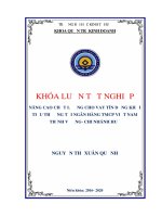 (Luận văn thạc sĩ) nâng cao chất lượng cho vay tín dụng khối tiểu thương tại ngân hàng TMCP việt nam thịnh vượng  chi nhánh huế 