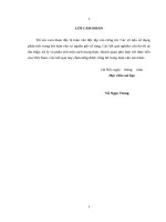 (Luận văn thạc sĩ) chiến lƣợc cạnh tranh của công ty TNHH thƣơng mại và dịch vụ kỹ thuật nhật cƣờng 