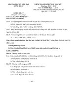 SO 6DE KIEM TRA HOA 11 HOC KI 1