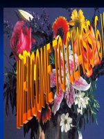 English 6 Unit 8 B2B3