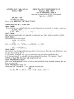 SO 13DE KIEM TRA HOA 11 HOC KI 1