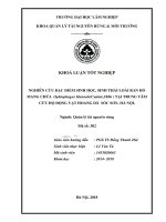 Khóa luận tốt nghiệp Quản lý tài nguyên rừng: Nghiên cứu đặc điểm sinh học, sinh thái học loài hổ mang chúa Ophiophagus Hannah (Cantor,1836) tại Trung tâm cứu hộ Sóc Sơn