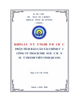 (Luận văn thạc sĩ) phân tích báo cáo tài chính tại công ty trách nhiệm hữu hạn một thành viên vinh quang 