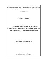 (Luận văn thạc sĩ) giải pháp hạn chế rủi ro tín dụng khách hàng cá nhân tại ngân hàng thương mại cổ phần quốc tế chi nhánh quận 5 