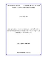 (Luận văn thạc sĩ) hiệu quả hoạt động kinh doanh tại ngân hàng nông nghiệp và phát triển nông thôn việt nam chi nhánh tỉnh đăk lăk 