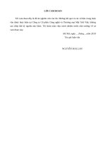 (Luận văn thạc sĩ) mở rộng thị trường tiêu thụ sản phẩm của công ty cổ phần công nghệ và thương mại mặt trời việt 